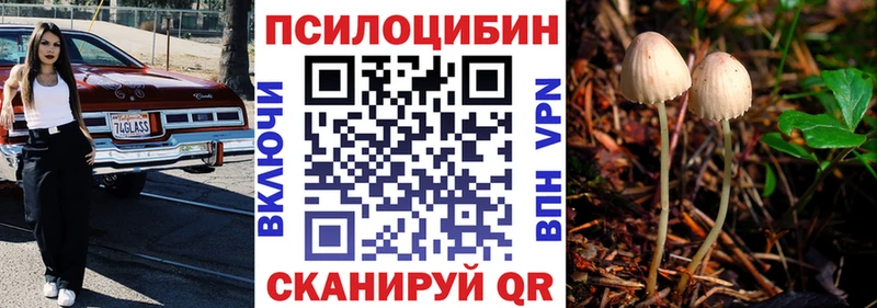 Псилоцибиновые грибы мицелий  Сим 